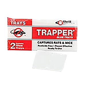 Trapper Rat Glue Boards (Bulk) 48/Case