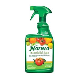 Natria Insecticidal Soap RTU 24 oz.