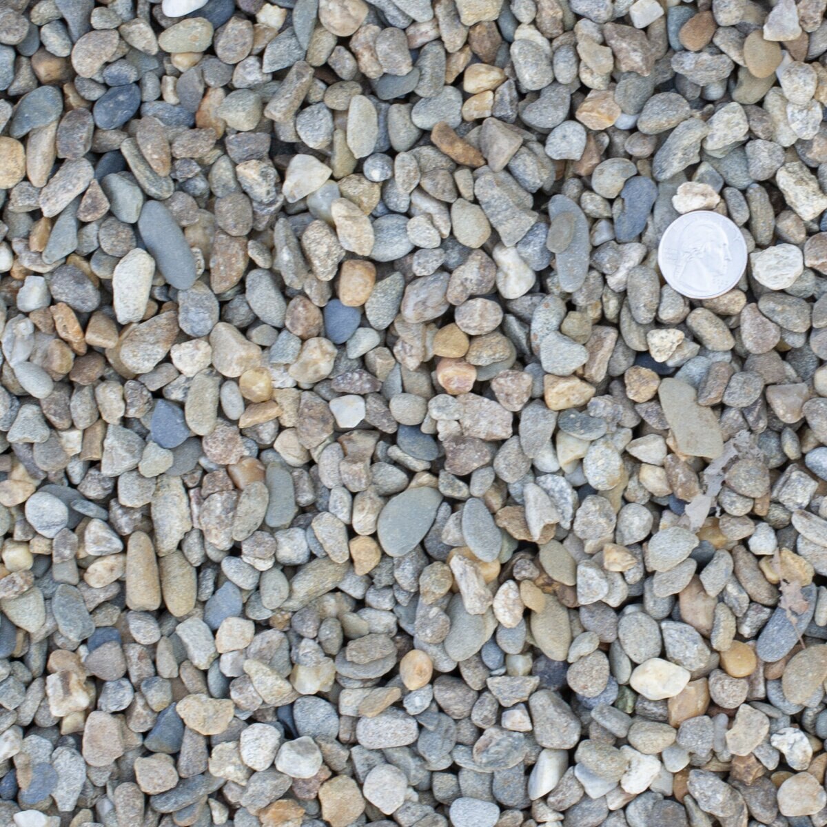 Bulk River Rock Pennsylvania Blend 3/8 in | SiteOne US