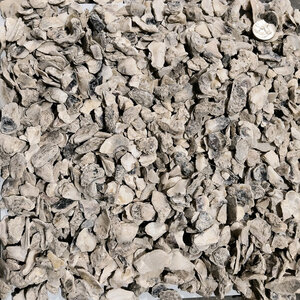 Bulk #2 Oyster Shell