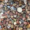 Bagged Rainbow Red River Pebbles (Pami) 1/2 in. (75 lb. Bag)