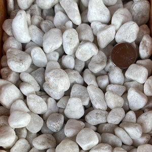 Bagged Himalaya White Pebbles 1/4 - 3/4 in. (40 lb. Bag)