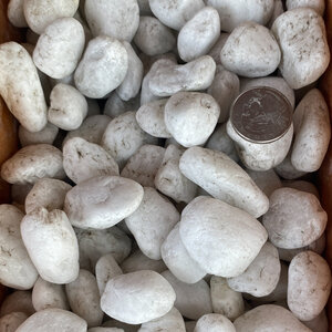 Bagged Himalaya White Pebbles 3/4 - 1 1/4 in. (40 lb. Bag)