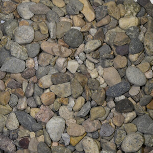 Bulk Del Rio Pebbles 3/8 in.