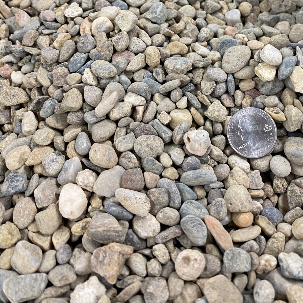 Bulk River Rock Lodi 3/8 in | SiteOne US