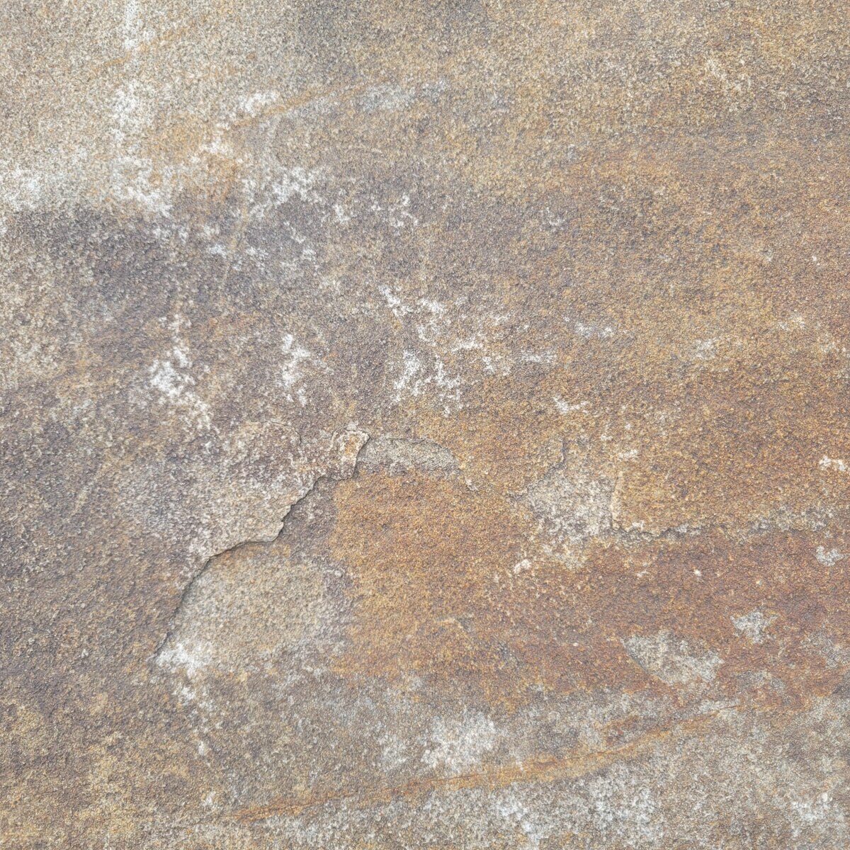 Tennessee Fieldstone Thin Cap Rock 2 - 3 in | SiteOne US