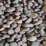 Bagged Mexican Beach Pebbles Red 1/2 - 1 in. (75 lb. Bag)