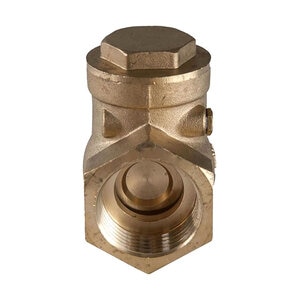 Brass Swing Check Valve 4 in.