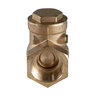 Brass Swing Check Valve 4 in.