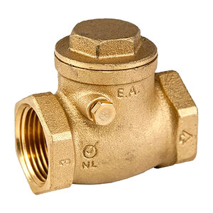 Brass Swing Check Valve 2 in. 