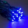 LED 50 Light 5MM BALLED - Blue
