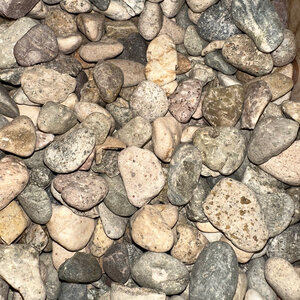 Bulk Del Rio Pebbles 3/4 in.