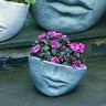 Planter Faccia Small Greystone 11-1/2 in. x 7 in.