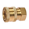1/4 FPT Brass Socket