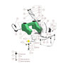 Turfware Barbed White Plastic Elbow 1/2 in. NPT x 3/8 in.