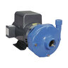 Goulds Pump 7.5 HP 1 PH 2-1/2 in. x 3 in.