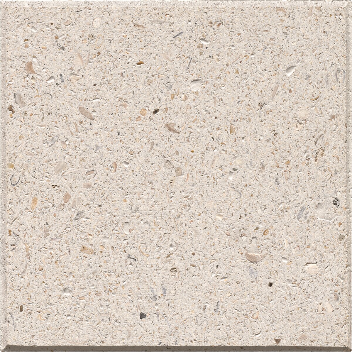 Artistic Shellock Ivory 24 in. x 12 in. (120 sq. ft./pallet) | SiteOne US