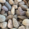 Bagged Del Rio Pebbles 1 in. Minus (75 lb. Bag)