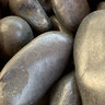 Bagged Polished Pebbles Black 2 - 3 in. (40 lb. Bag)