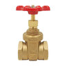 Red-White 1 in. Threaded Bronze Gate Valve