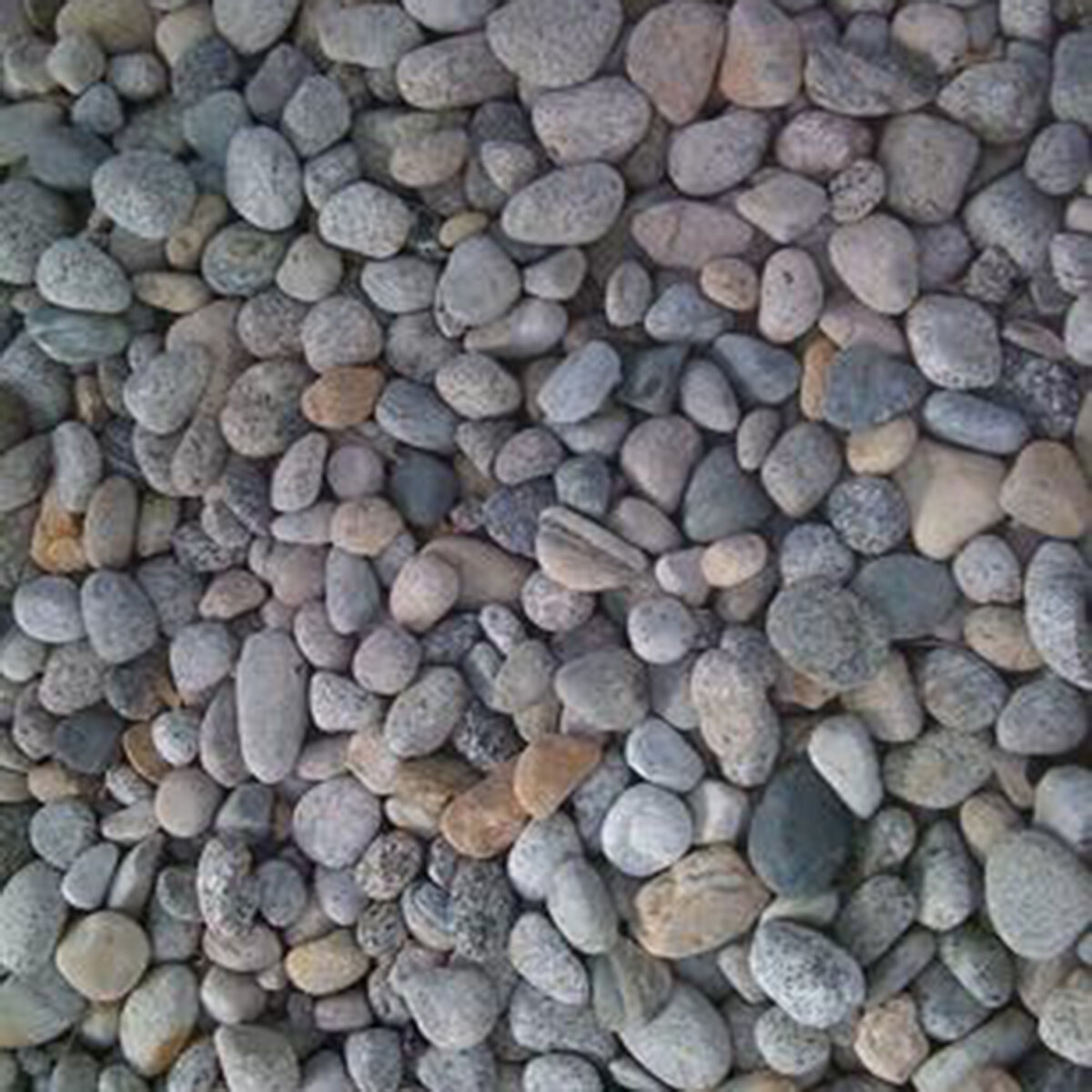 Bulk New Mexico River Rock Small | SiteOne US
