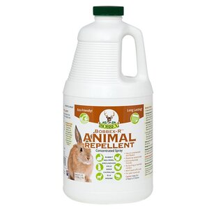 Bobbex-R Animal Repellent Concentrated Spray 0.5 Gal 