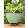 Bosmere Down Under Plant Stand Black 20 in. Dia.