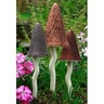 Toadstool Set Of 3 Spring