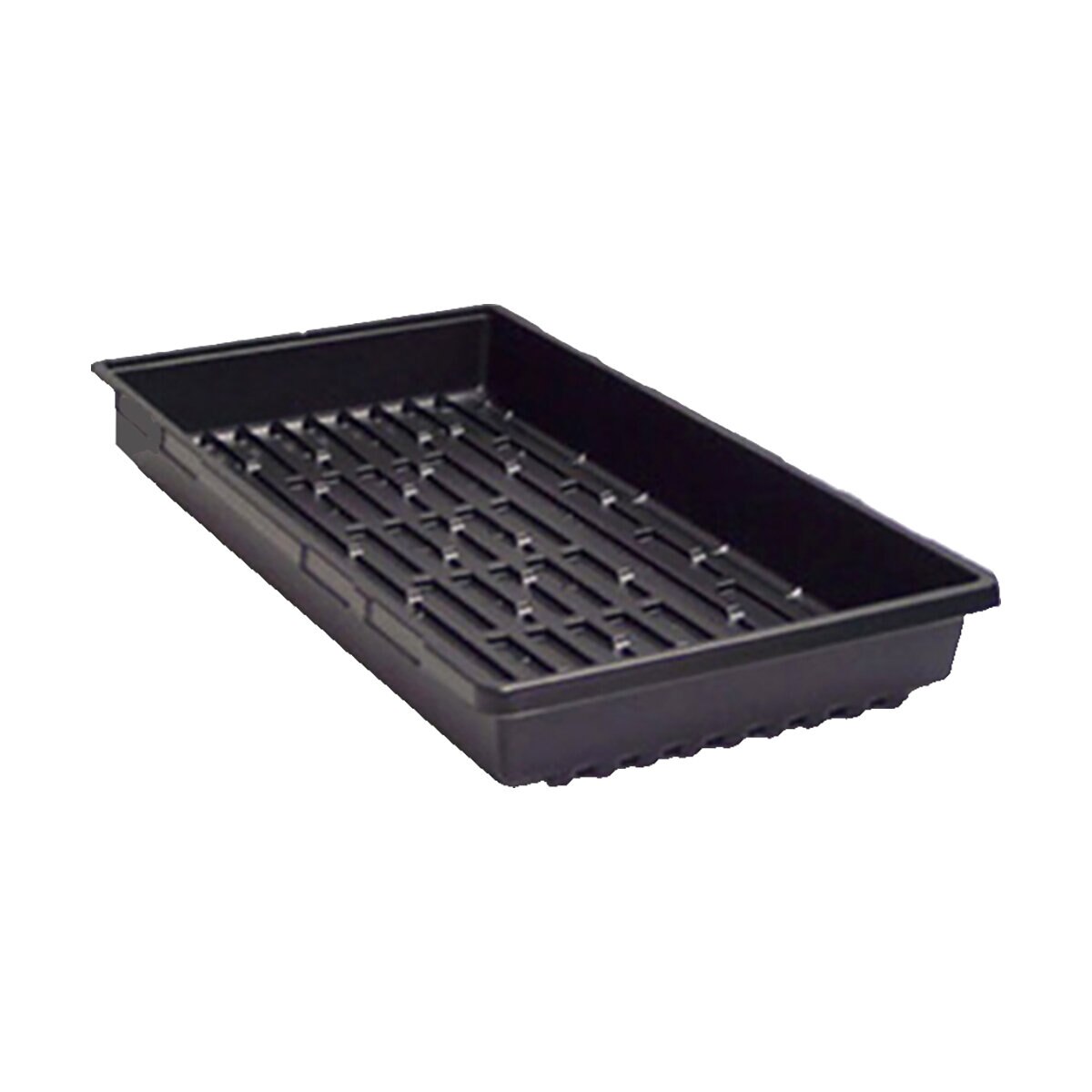 Open Tray w/ Holes 100 Case | SiteOne US