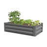 Iron Metal Raised Planter
