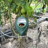 Moisture Meter