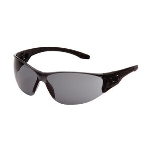 Gray Lens w/ Assorted Temple Color