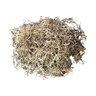 Spanish Moss 8/case 250 cu. in.