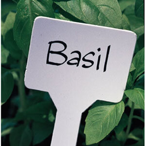 T Small Stake Label 100/pkg. 2 in. x 5 in.