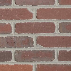 Robinson Brick Real Thin Brick Tumbled Flats School House (7 sq. ft./box)