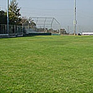 Pro Sportsfield Seed Mix 50 lb.