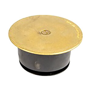 3 in. Brass Port Cover