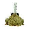 Rain Gauge Toad