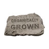 Massarelli Stepping Stone Organically Grown 7 in. x 10 in.
