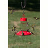 Dr JB's 16 oz. Clean Feeder