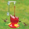 Window Red Bird Hummingbird Feeder