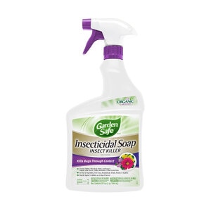Garden Safe Insecticide Soap Insect Killer RTU 32 oz. Spray Bottle