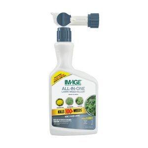 Image All-in-One Weed Killer RTS 1 qt.