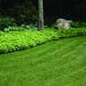 Permaloc ProSlide Aluminum Landscape Edging Green Duraflex 1/8 in. x 4 in. x 8 ft.