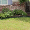 Pro-Steel Steel Landscape Edging Green 7 Guage 3/16 in. x 4 in. x 16 ft.