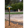 Border Concepts Border King Steel Landscape Edging Brown 1/4 in. x 5 in. x 10 ft.