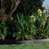 Colmet Steel Landscape Edging Black 7 Gauge 3/16 in. x 5 in. x 10 ft.