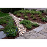 Curv-Rite 3000 Series Aluminum Landscape Edging Deco-Black 8 ft.
