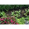 Permaloc ProLine Aluminum Landscape Edging Green Duraflex 1/8 in. x 4 in. x 8 ft.