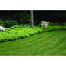 Permaloc ProSlide Aluminum Landscape Edging Mill Finish 3/16 in. x 5-1/2 in. x 16 ft.
